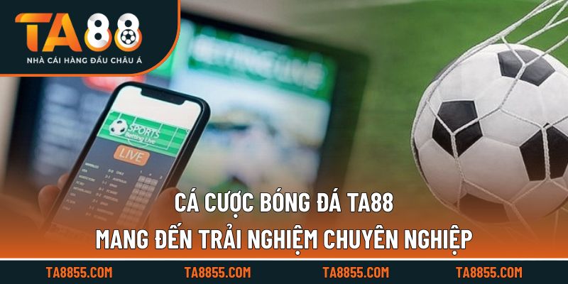 Cá Cược Bóng Đá TA88 Mang Đến Trải Nghiệm Đặt Cược Chuyên Nghiệp