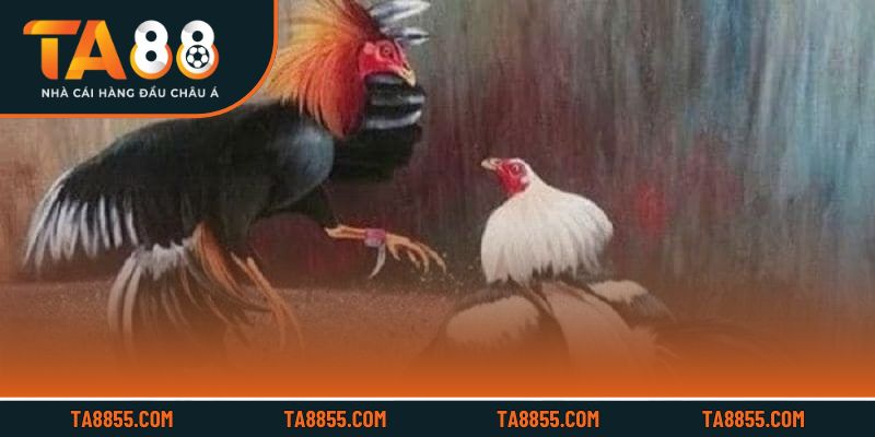 Các công cụ hỗ trợ giúp trải nghiệm cược đá gà trực tuyến tiện lợi và thú vị