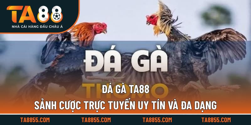 Không gian cược đá gà trực tuyến đa dạng và hiện đại