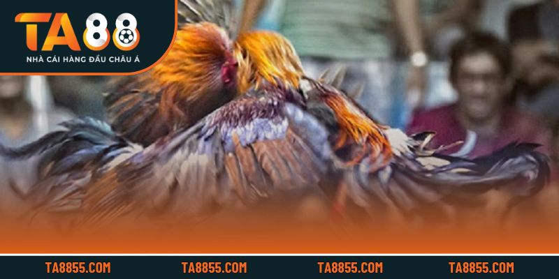 Lưu ý quan trọng giúp trải nghiệm an toàn và hiệu quả