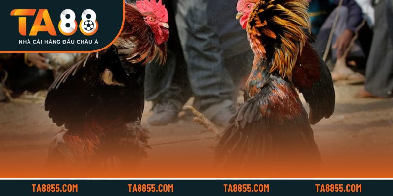 Lưu ý quan trọng giúp trải nghiệm an toàn và hiệu quả