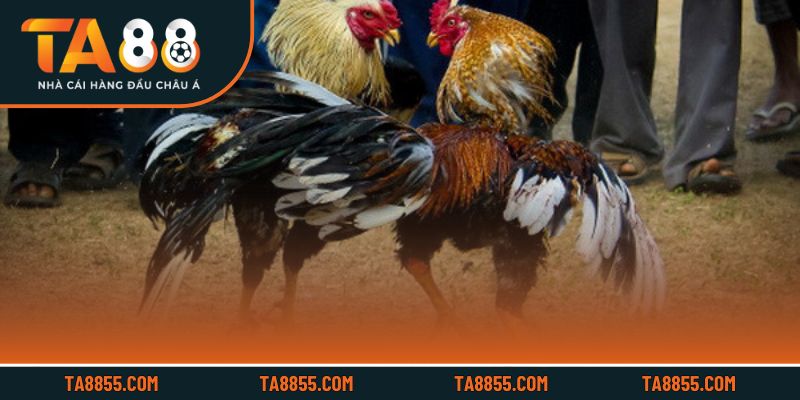 Lưu ý quan trọng giúp trải nghiệm an toàn và hiệu quả