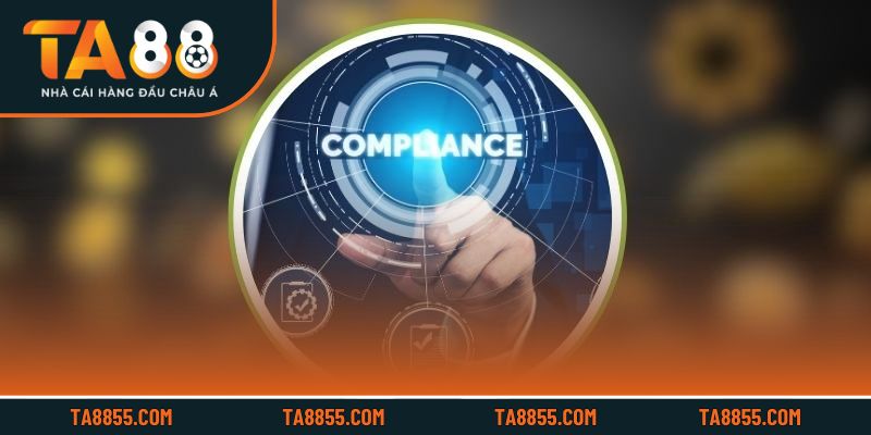 Những rủi ro tiềm ẩn khi không tuân thủ điều khoản