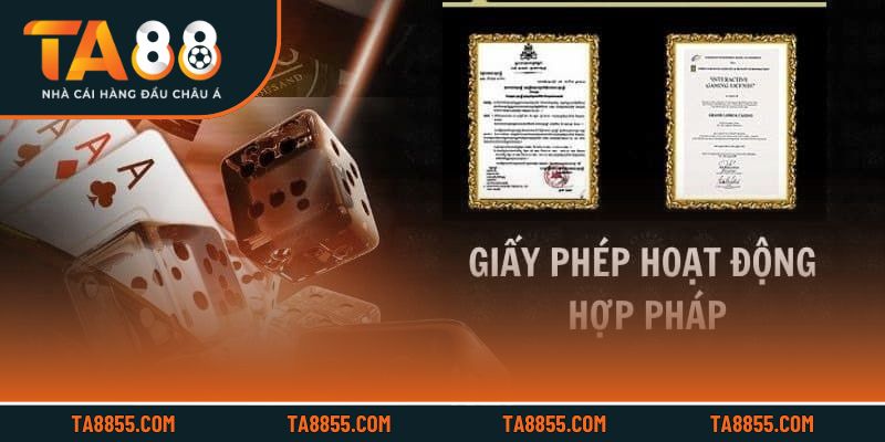 Sự công nhận đến từ các tổ chức uy tín quốc tế