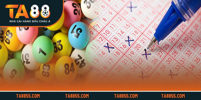 Theo dõi kết quả và nhận thưởng nhanh chóng trên nền tảng trực tuyến