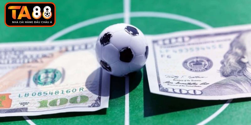 Tìm hiểu kiến thức soi kèo bóng đá C1 nền tảng